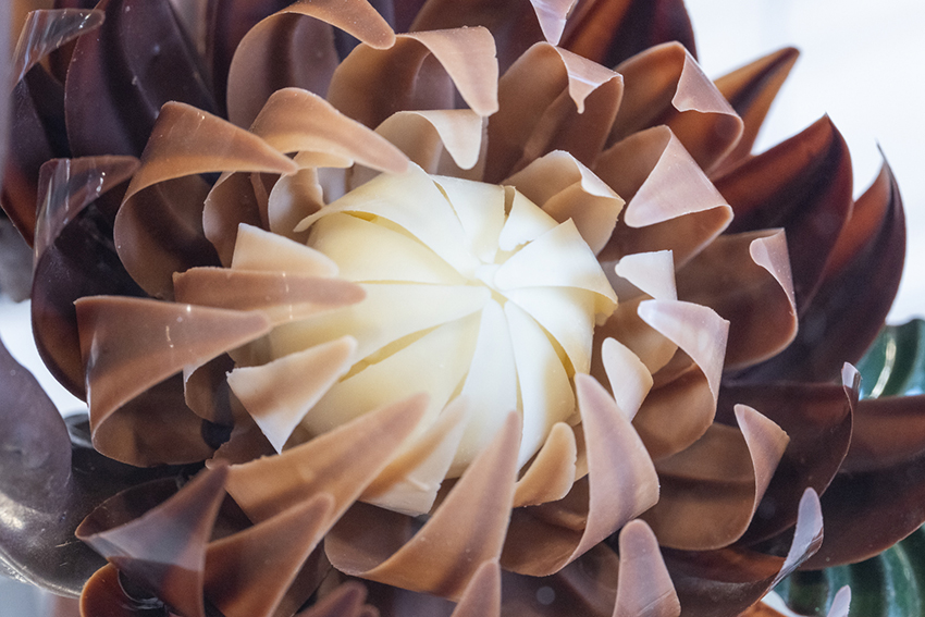 【第10部】学生部門 ピエスモンテ（ショコラ） 第1位